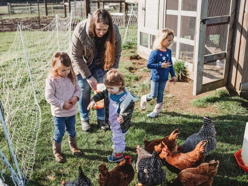 Haberman Family | Storyteller Farm | Ridgefield Washington